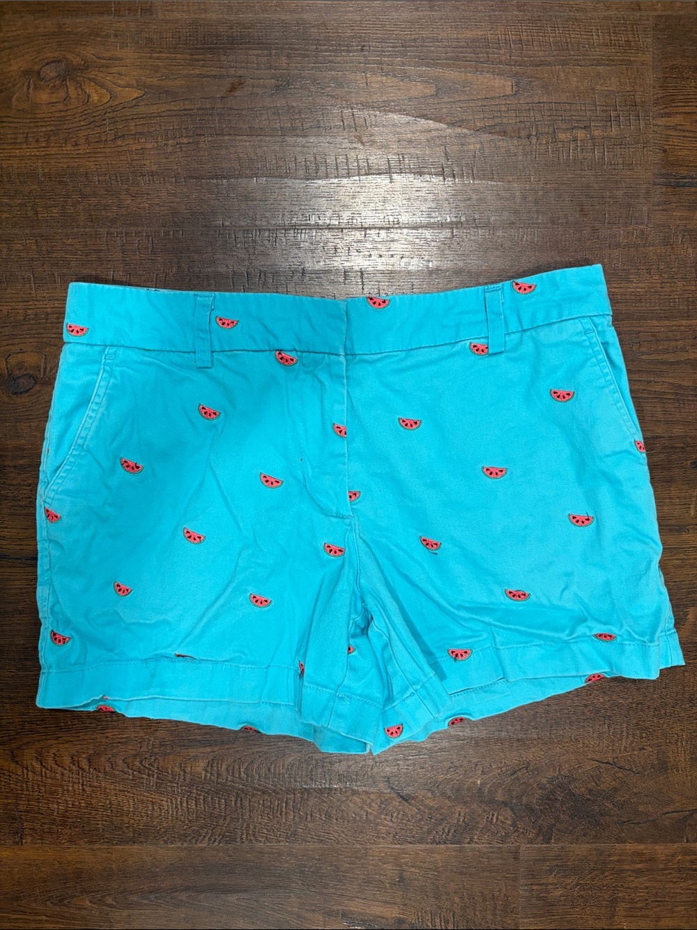 Cambridge Dry Goods Turquoise Shorts with Watermelon Embroidery 6
